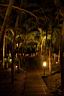 HoneyMoon 580.jpg